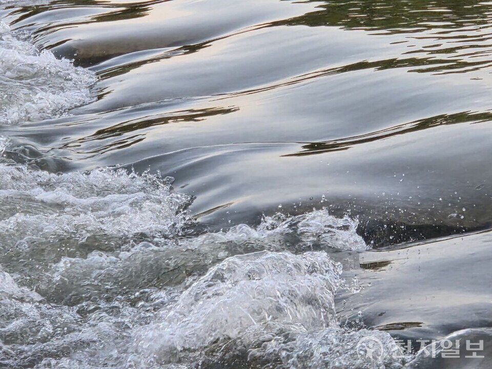 [천지일보 대전=김지현 기자] 대전·세종·충남지역에 18일 오전 5시 현재 호우주의보가 발효된 가운데 대전 유등천에 물이 범람한 모습. ⓒ천지일보 2025.07.18.