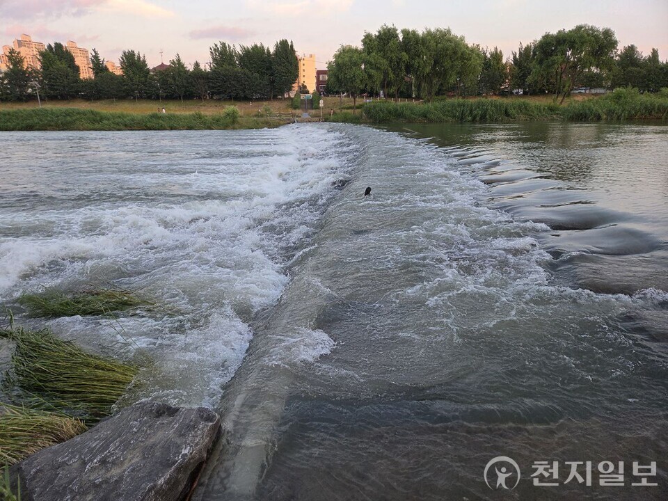[천지일보 대전=김지현 기자] 대전·세종·충남지역에 18일 오전 5시 현재 호우주의보가 발효된 가운데 대전 유등천에 물이 범람한 모습. ⓒ천지일보 2025.07.18.