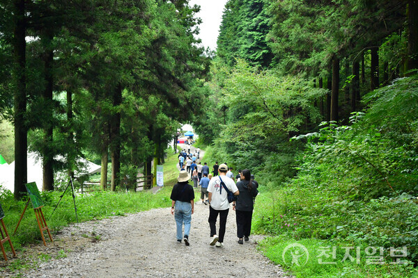 전남 장성군이 오는 8월 2일부터 3일까지 축령산 편백숲에서 ‘산소축제’를 개최한다. 황폐했던 산을 숲으로 바꾼 역사와 자연이 주는 치유를 테마로 한 참여형 웰니스 축제로, ‘2025 장성방문의 해’를 대표하는 행사로 자리매김하고 있다. 사진은 2023년 산소축제에 참여한 관광객들이 피톤치드 가득한 숲길을 걷는 모습. (제공: 장성군청) ⓒ천지일보 2025.07.24.