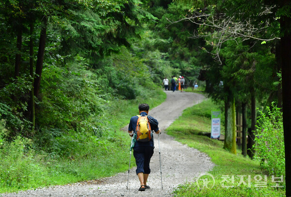 전남 장성군이 오는 8월 2~3일 축령산 편백숲에서 ‘산소축제’를 연다. 황폐했던 산을 숲으로 바꾼 역사와 자연이 주는 치유를 테마로 한 참여형 웰니스 축제로 ‘2025 장성방문의 해’를 대표하는 행사로 자리매김하고 있다. 사진은 2023년 산소축제에 참여한 관광객이 등산복 차림으로 피톤치드 가득한 숲길을 걷고 있는 모습. (제공: 장성군청) ⓒ천지일보 2025.07.24.