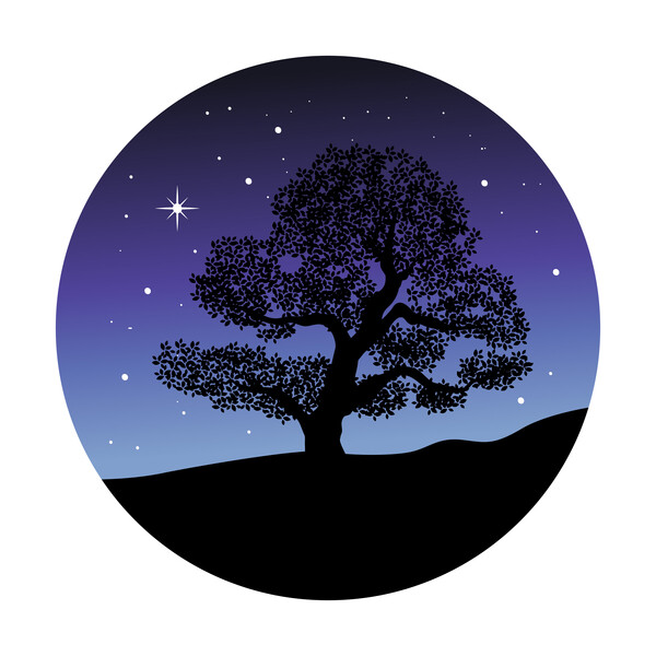 (출처: 게티이미지뱅크)