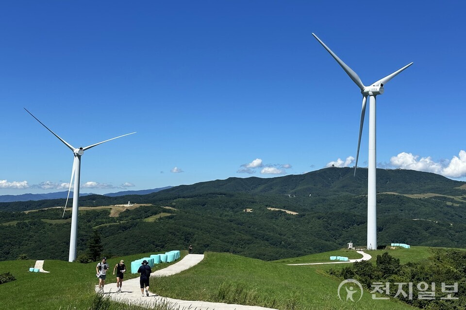 ‘제1회 평창 오리엔티어링 페스티벌’ 현장. (제공: 삼양라운드힐) ⓒ천지일보 2025.07.30.