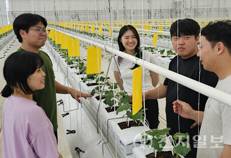 Jeonbuk Province is taking the lead in establishing a structural transformation in smart agriculture by building the nation’s first step-by-step support system and demonstration model—laying a solid foundation for young farmers to settle. The photo shows Systematic smart farm education program for young farmers. (Provided by Jeonbuk Provincial Government) ⓒCheonji Ilbo 2025.08.08.