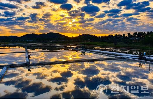 석양을 머금은 소래습지 염전 전경.(제공: 인천시청) ⓒ천지일보 2025.08.18.