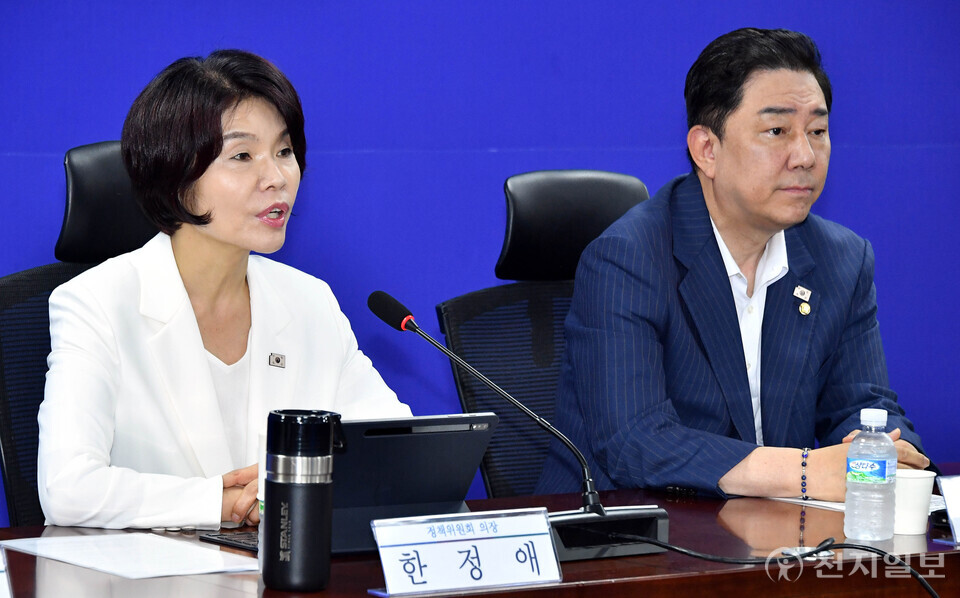 [천지일보=박준성 기자] 더불어민주당 한정애 정책위의장이 20일 오전 서울 여의도 국회 의원회관에서 열린 ‘새정부 경제성장전략 당정협의회’에서 발언을 하고 있다.ⓒ천지일보 2025.08.20.