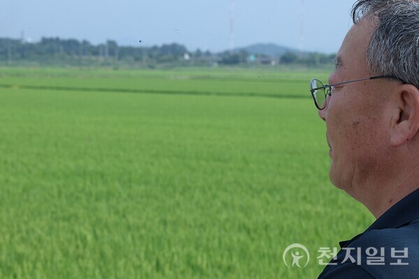 [천지일보=이시문 기자] 황성열(63)씨가 논을 바라보며 생각에 잠겨 있다. ⓒ천지일보 2025.09.01.