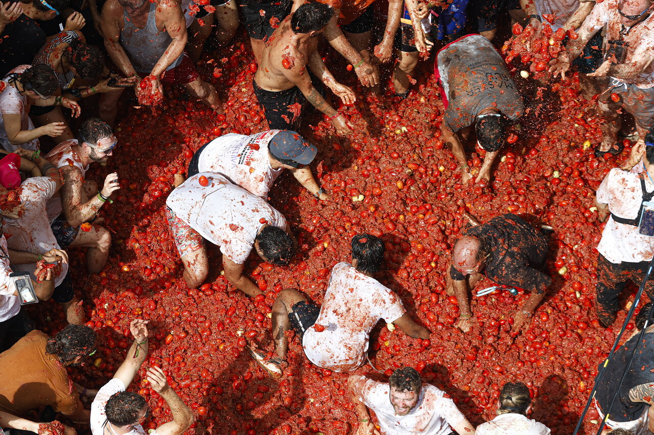 이날 축제에서 참가자들이 토마토 과육을 가지고 놀고 있다. (EPA/Miguel Angel Polo, 연합뉴스)