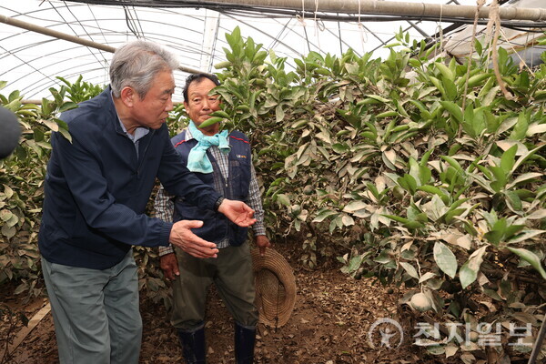 강호동 농협중앙회장(왼쪽)이 폭우 피해 농가를 방문해 피해상황을 점검하고 있다. (제공: 농협중앙회) ⓒ천지일보 2025.09.10.