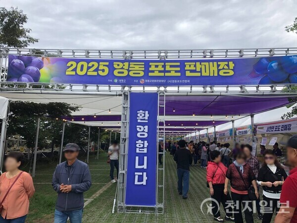 [천지일보 영동=김홍진 기자] ‘​2025영동포도판매장’ 전경. ⓒ천지일보 2025.09.20.