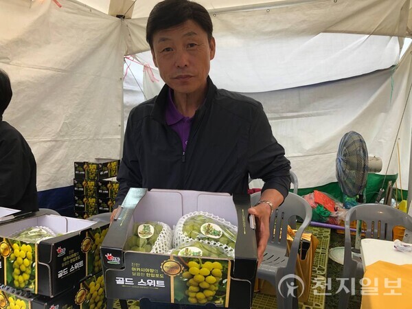 [천지일보 영동=김홍진 기자] 19일  ‘​2025영동포도판매장’ 판매장에서 방문객들이 포도를 구매하기 위해 붐비고 있다. ⓒ천지일보 2025.09.20.