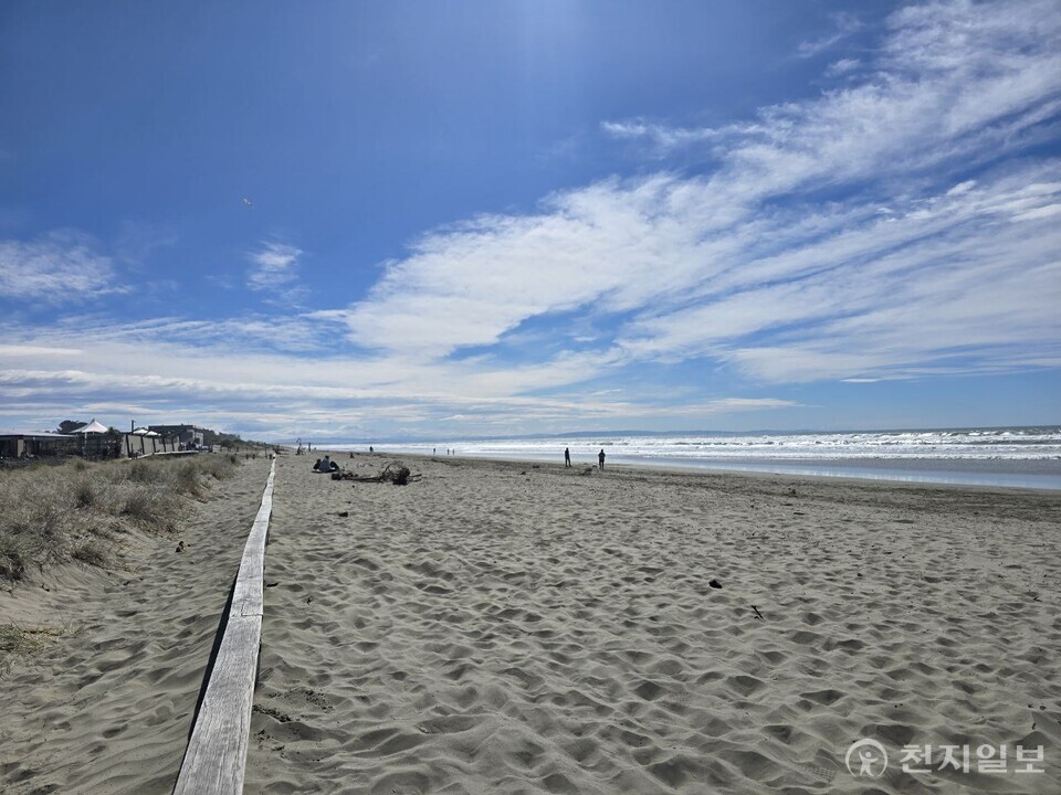 뉴질랜드 뉴브라이턴 비치 주변. ⓒ천지일보 2025.09.28.