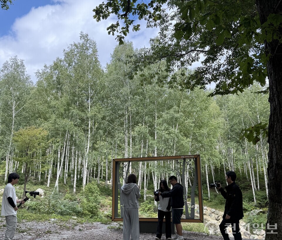 영양군이 지역 특산물의 브랜드 가치를 높이기 위해 유명 인플루언서와 함께 콘텐츠 촬영을 진행했다고 1일 밝혔다. (제공: 영양군) ⓒ천지일보 2025.10.01.