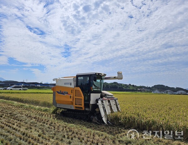경남 사천시가 10일 병해충 예방을 위해 볏짚 환원을 권고했다. 사진은 농기계로 벼를 추수하는 모습. (제공: 사천시) ⓒ천지일보 2025.10.10.