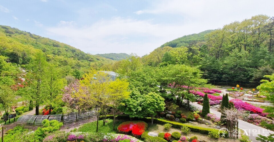 강화군 석모도에 자리한 ‘석모도 수목원’ 전경.(제공: 강화군청) ⓒ천지일보 2025.10.22.