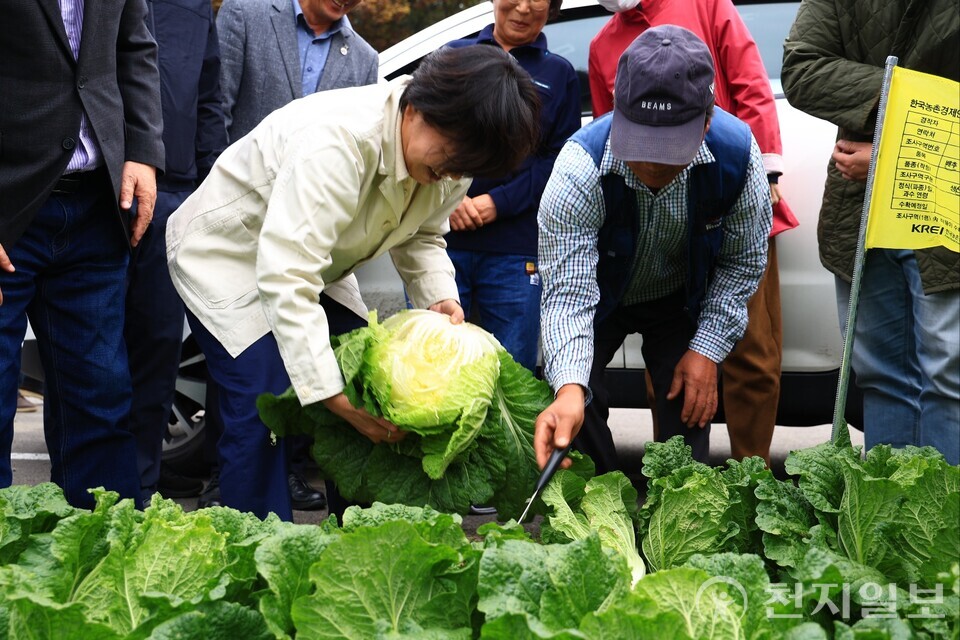 송미령 농림축산식품부 장관이 지난 26일 김장(가을)배추 주산지인 충북 괴산군에 위치한 배추 밭을 찾아 작황을 점검했다. (제공: 농식품부) ⓒ천지일보 2025.10.28.
