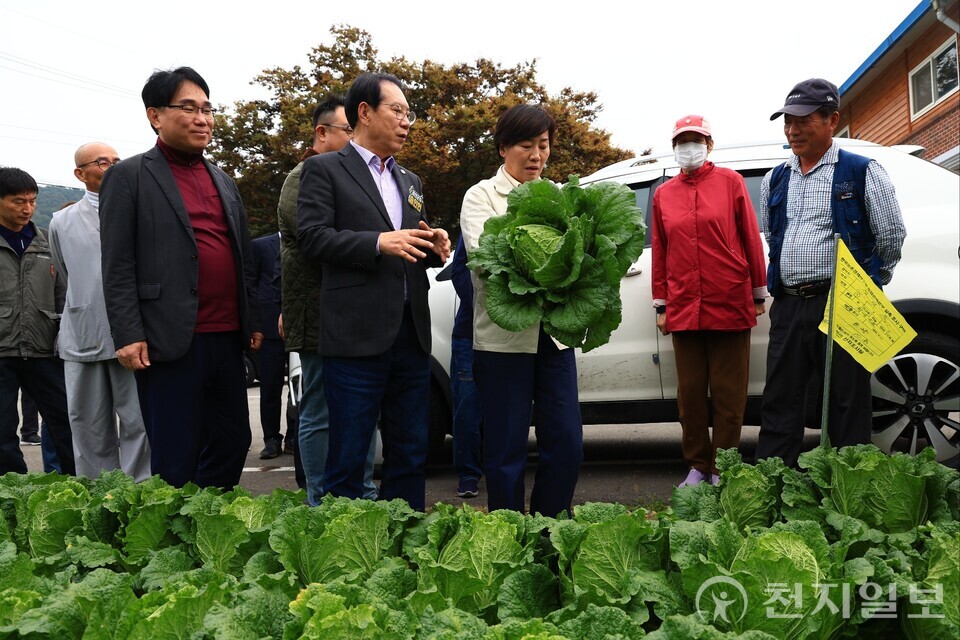 송미령 농림축산식품부 장관이 지난 26일 김장(가을)배추 주산지인 충북 괴산군에 위치한 배추 밭을 찾아 작황을 점검했다. (제공: 농식품부) ⓒ천지일보 2025.10.28.