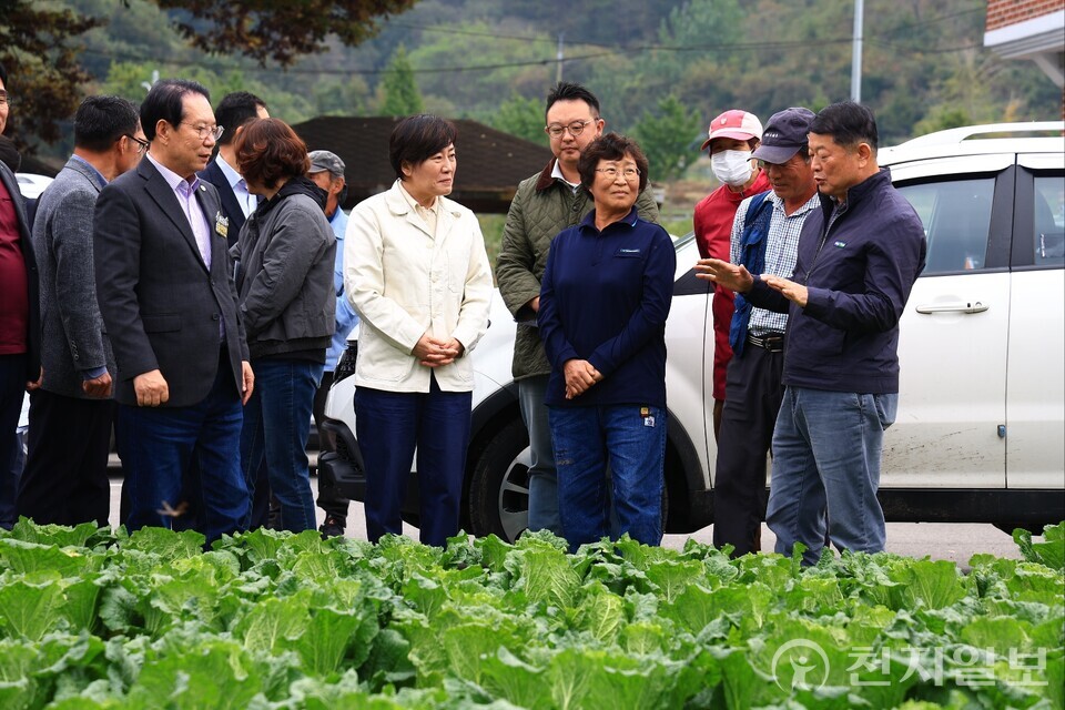 송미령 농림축산식품부 장관이 지난 26일 김장(가을)배추 주산지인 충북 괴산군에 위치한 배추 밭을 찾아 작황을 점검했다. (제공: 농식품부) ⓒ천지일보 2025.10.28.