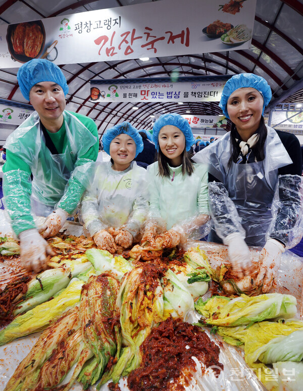 2024 평창고랭지김장축제를 방문한 한 가족이 절임 배추에 양념을 버부리고 있다. (제공: 평창고랭지김장축제위원회) ⓒ천지일보 2025.10.29.