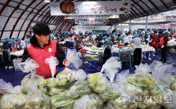 지난해 평창고랭지김장축제가 열리고 있는 가운데 절임배추와 김장하러온 방문객들로 축제장이 인산 인해를 이루고 있다. (제공: 평창고랭지김장축제위원회) ⓒ천지일보 2025.10.29.