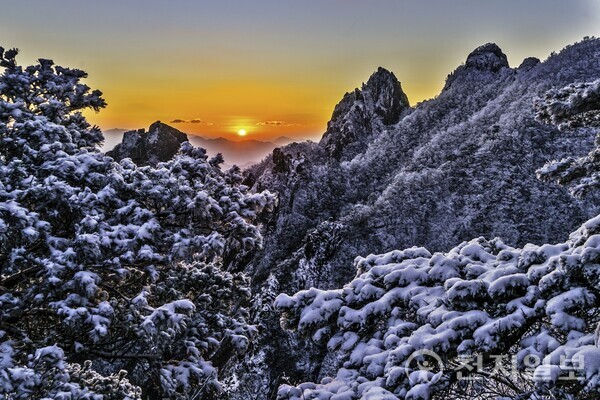 최정삼 사진작가는 자연·지역의 일상을 사진과 회화로 재구성하며 감정을 나누는 예술의 힘을 믿고 창작 활동을 이어가고 있다. 사진은 월출산 광암터의 겨울. (제공: 최정삼 갤러리) ⓒ천지일보 2025.10.30.