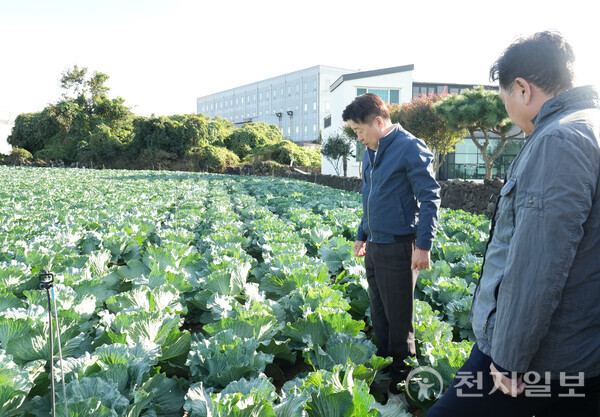 제주특별자치도가 도민 생활 현장 곳곳을 직접 찾아가 목소리를 청취하며 현장 중심 도정을 강화하고 있다. 사진은 신엄리 양배추 재배 농가 방문한 오영훈 제주특별자치도지사 모습. (제공: 제주특별자치도) ⓒ천지일보 2025.11.03.