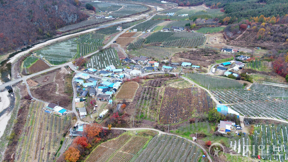 청송군이 농림축산식품부가 시행하는 2026년 과실전문생산단지 기반조성 공모사업에 선정돼 향후 2년간 총사업비 20억원을 확보했다고 4일 밝혔다. (제공: 청송군) ⓒ천지일보 2025.11.04.