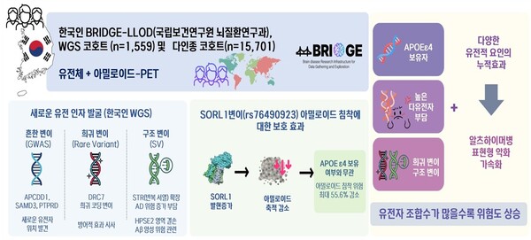한국인 코호트 기반 유전체·뇌영상 통합 분석으로 새로운 발병인자 규명. (제공: 질병청)