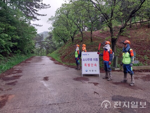 경남 사천시가 오는 17일부터 30일까지 소나무재선충병 예방을 위해 소나무류 무단 이동 특별 단속을 실시한다. 사진은 소나무류 이동 특별단속 현장 모습. (제공: 사천시청) ⓒ천지일보 2025.11.10.