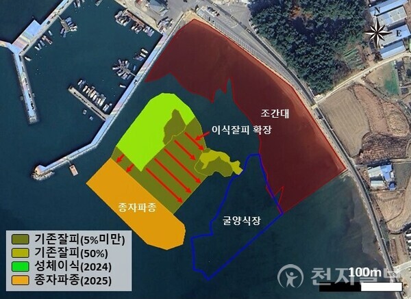 경남 사천시가 지난 4일부터 7일까지 대포 연안 잘피 군락을 복원하기 위해 ‘KB 바다숲 프로젝트’ 일환으로 잘피 종자 15만개를 파종했다. 사진은 잘피 군락 복원계획도. (제공: 사천시청) ⓒ천지일보 2025.11.11.