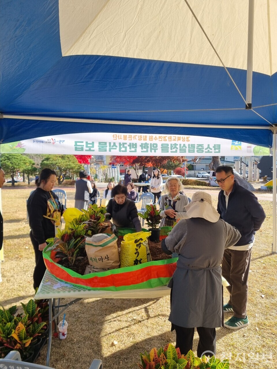 영양군이 2025 탄소중립의 자발적 실천과 식물에 대한 이해 및 정서적 교감 증진을 위해 영양군민을 대상으로 반려식물 보급행사를 개최했다. (제공: 영양군) ⓒ천지일보 2025.11.13.