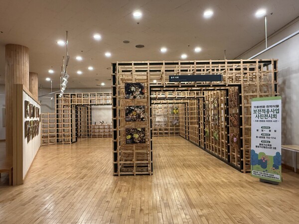 ‘기후변화 취약 산림식물 사진 전시회’. (제공: 경기도청) ⓒ천지일보 2025.11.14.