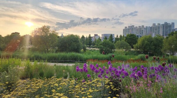 자연주의 정원(제공=울산시)ⓒ천지일보 2025.11.14.