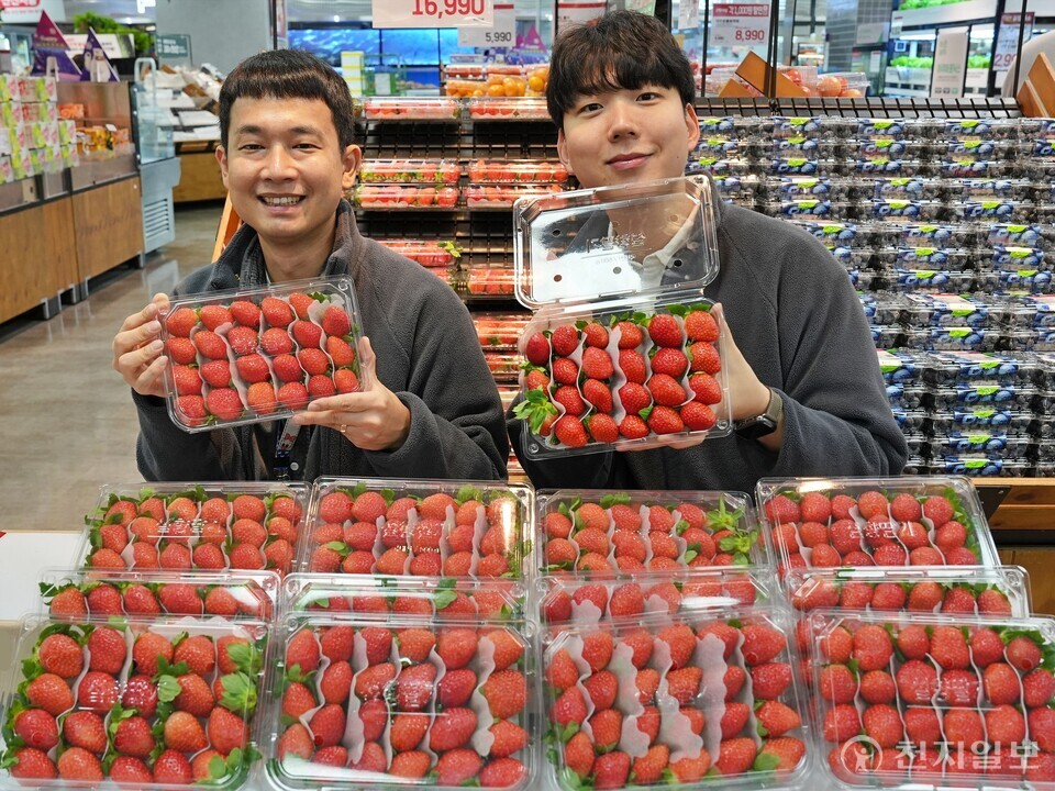 롯데마트 잠실점에서 과일 MD들이 라벨 뺀 1단 ‘무라벨 설향 딸기’를 선보이며 친환경 포장과 품질 확인을 강조하고 있다. (제공: 롯데쇼핑) ⓒ천지일보 2025.11.14.