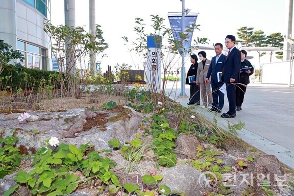 경남 사천시가 교목, 관목, 초화류 등을 통해 기후변화에 대응하는 ‘시청사 실외정원 조성사업’을 마무리 지었다고 지난 13일 밝혔다. 사진은 박동식 시장과 시 관계자들이 실외정원을 관람하는 모습. (제공: 사천시청) ⓒ천지일보 2025.11.14.