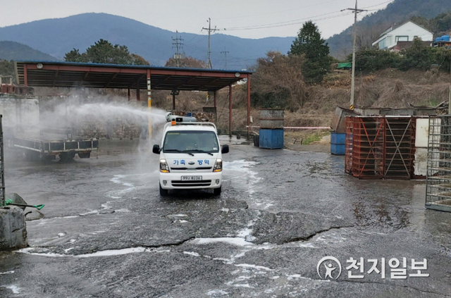 조류인플루엔자(AI) 방역 모습. ⓒ천지일보 DB