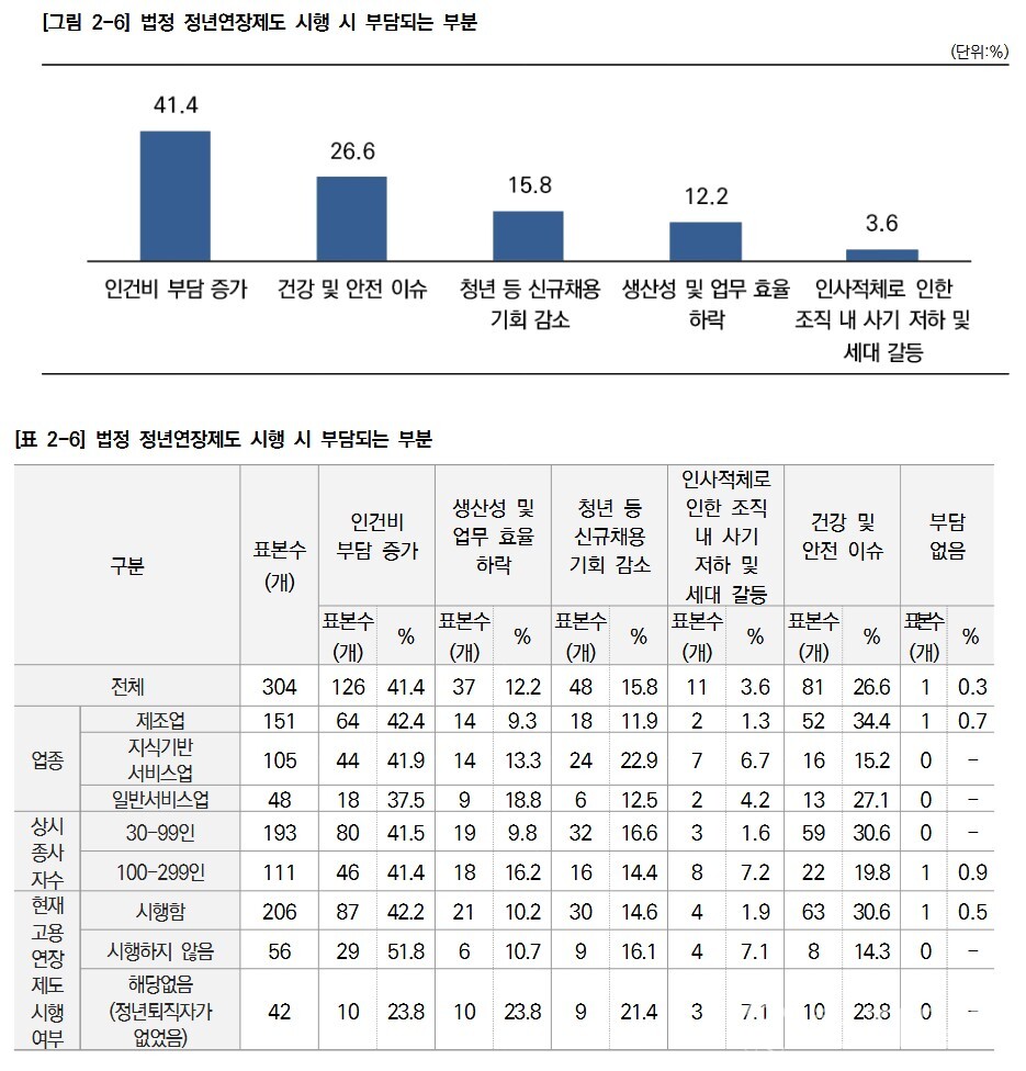 법적 정연연장제도 시행 시 부담되는 부분. 정년연장 시 가장 큰 부담 요인으로 인건비 증가(41.4%)가 꼽혔다. 이어 건강·안전 이슈(26.6%)가 뒤를 이었다. (제공: 중소기업중앙회)