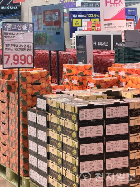 충북 영동군이 지역 농가의 안정적 판로 확보를 위해 올해 출범한 영동군농협조합공동사업법인과 협력해 롯데마트 전 지점 할인 행사를 마련했다고 21일 밝혔다. 사진은 롯데마트에서 판매되고 있는 영동군 샤인머스캣. (제공: 영동군청) ⓒ천지일보 2025.11.21.