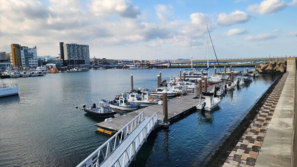 제주 도두항에 요트들이 정박해 있는 모습(제공=제주도)ⓒ천지일보 2025.11.21.