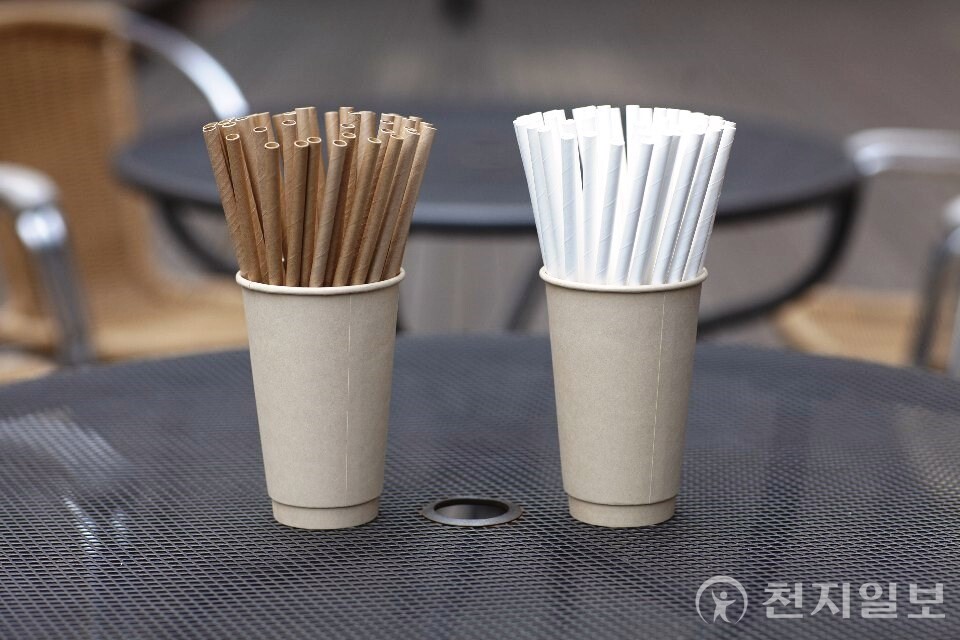 종이빨대 제품 이미지. 국내 종이빨대 사용은 규제 유예 이후 급격히 감소했다. (제공：전국종이빨대생존대책협의회) 