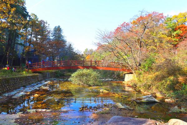 서울대안양수목원단풍(사진=트래블아이)ⓒ천지일보 2025.11.23.
