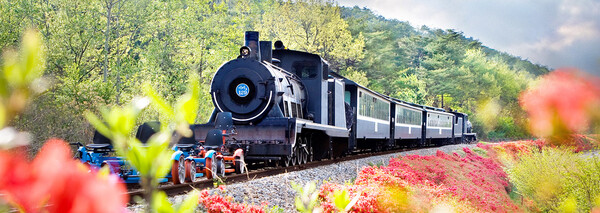 섬진강 기차마을(제공=곡성군)ⓒ천지일보 2025.11.25.