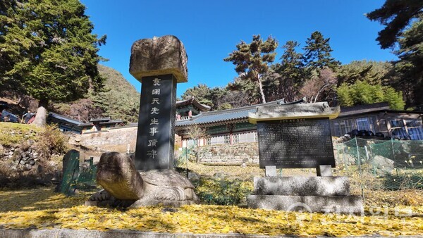 고견사 비석 아래 용머리 거북상. ⓒ천지일보 2025.11.25.