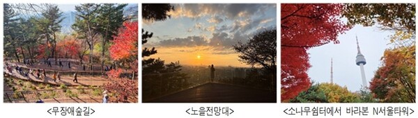 서울시가 남산 하늘숲길을 무장애 산책로로 조성한 지 한 달 만에 누적 방문객 9만 명을 기록했으며, 외국인 비율도 40%에 달한 것으로 나타났다. 자료는 남산 하늘숲길 주요 장소. (제공: 서울시)