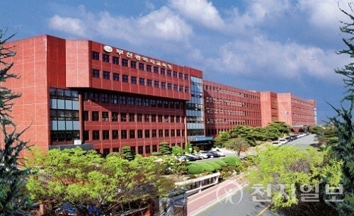 부산광역시교육청 전경. (제공: 부산광역시교육청) ⓒ천지일보 2024.07.01.