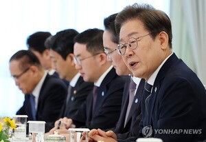 재계 만난 李대통령 "불필요한 <b>규제</b>는 과감히 정리"