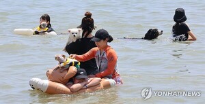 반려견과 보호자가 함께 즐기는 썸머비치