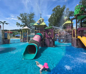 [전국인사이드ㅣ‘충북에 산다’ ②] “서울 벗어나 찾은 삶의 여유”… 도시·농촌서 피어난 정착 이야기