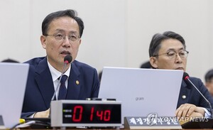 [2026<b>국감</b>] <b>이형일</b> "텍사스 발전소 상업성 충족… 24억 달러 송금"